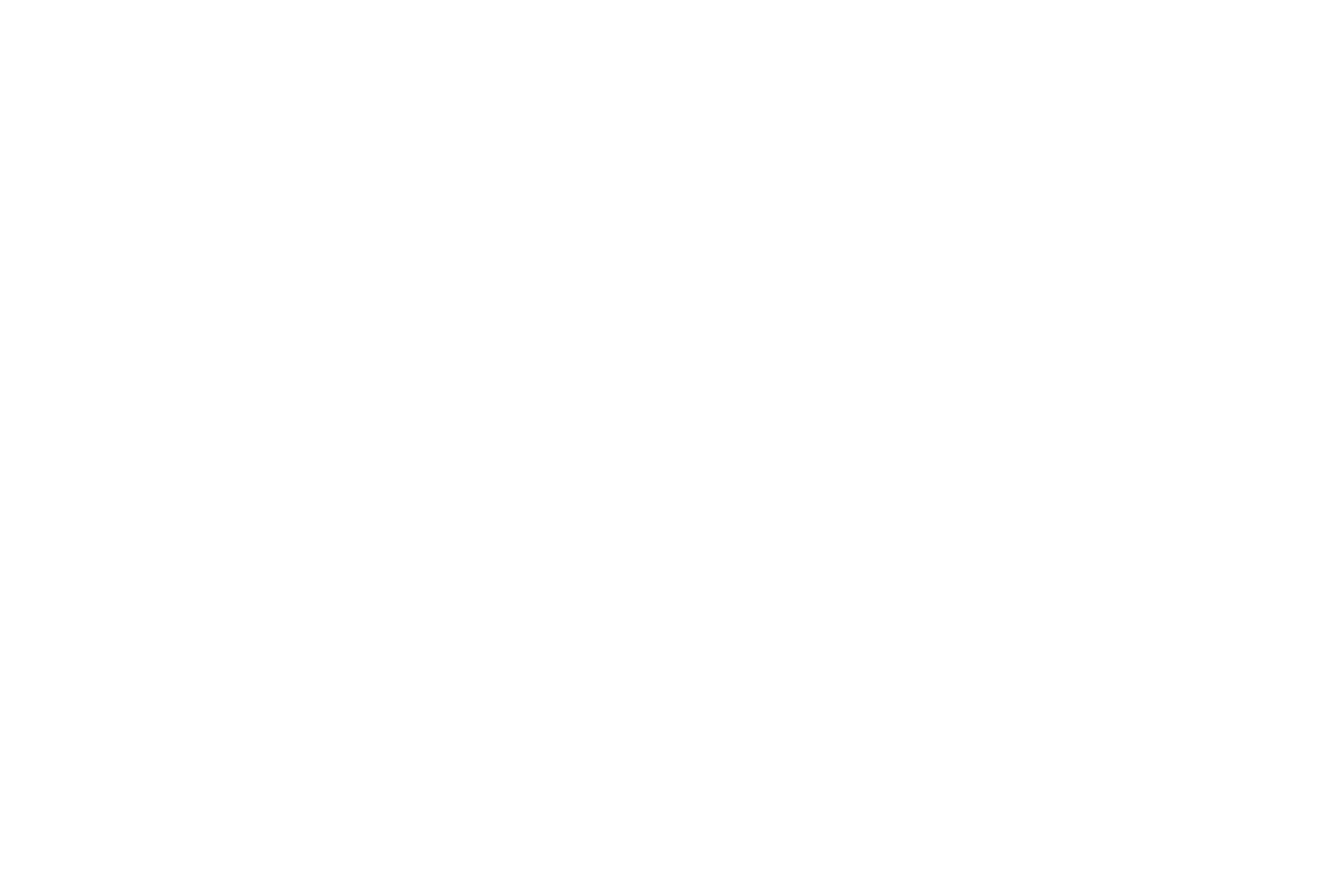 Universidad Piloto